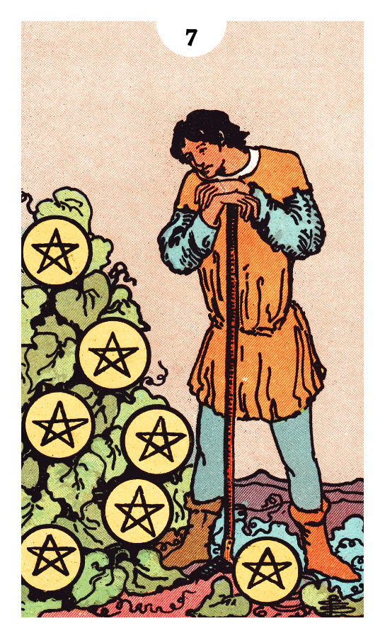 Seven of Pentacles